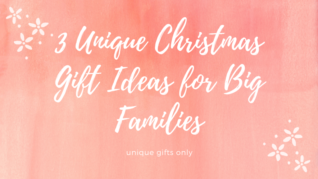 Banner image blog of 3 Unique Christmas Gift Ideas for Big Families